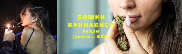 прущие крисы Пересвет