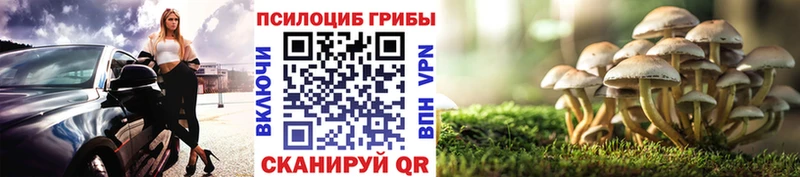 наркотики  Торжок  Псилоцибиновые грибы MAGIC MUSHROOMS 