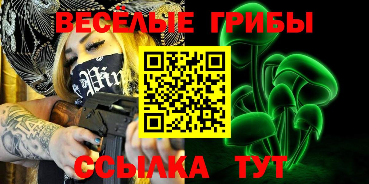 Псилоцибиновые грибы Psilocybine cubensis Торжок