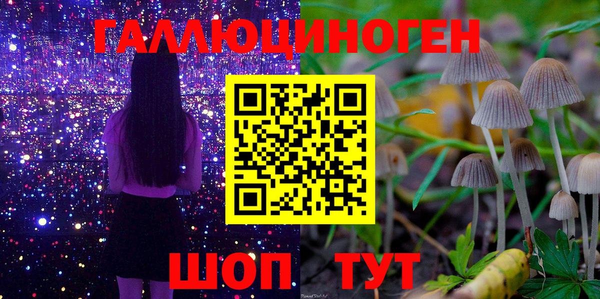 купить наркотики сайты  Галлюциногенные грибы прущие грибы  Вход с VPN  Торжок 